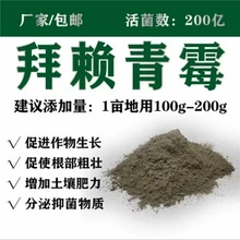拜賴青霉在農(nóng)業(yè)的作用有哪些圖片