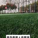 樓頂屋頂房頂人造草坪，公園廣場綠化休閑景觀人造草坪