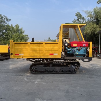 爬山虎履帶運輸車(chē)農用山地果園運輸車(chē)小型自卸運輸拉料拖拉機