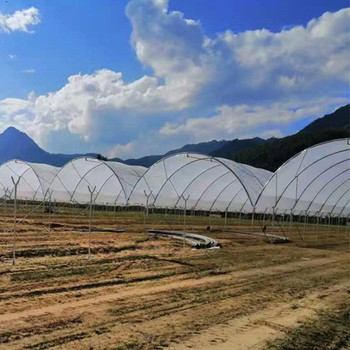 溫室大棚--各類棚型可定制