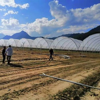 溫室大棚棚型大棚批發(fā)定制