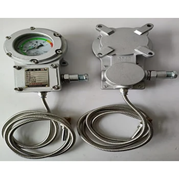 防爆儀表BWTY-203Z