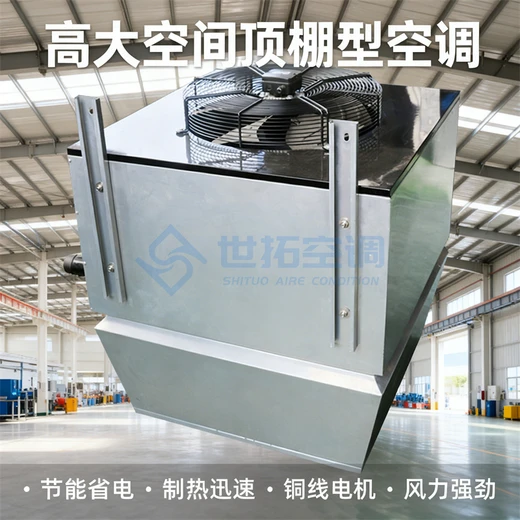 高大空間冷暖新風(fēng)空調(diào)機(jī)組鍍鋁鋅板外殼性能優(yōu)良送風(fēng)舒適