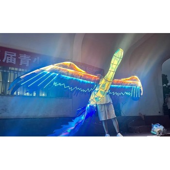 飛天鳳凰表演團(tuán)隊(duì)