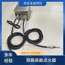 高能點(diǎn)火器半導(dǎo)體點(diǎn)火裝置工業(yè)鍋爐用防腐蝕BWGD-12-2