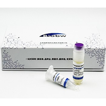 海藤黃色單胞菌百歐博偉生物微生物菌種