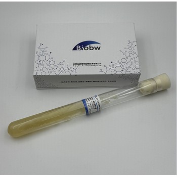 綠色魏斯氏菌百歐博偉生物微生物菌種
