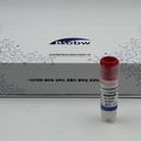 ATCCBAA-2452大腸埃希氏菌百歐博偉生物