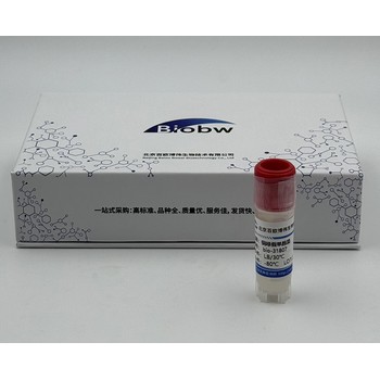 蠟樣芽胞桿菌ATCC14579百歐博偉生物