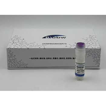 MortierellaFatshederae百歐博偉生物微生物菌種