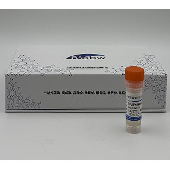 基利恩帚枝霉百歐博偉生物微生物菌種