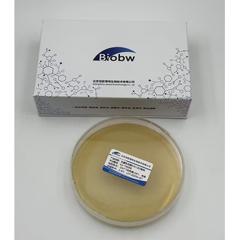 土生隱球酵母百歐博偉生物原始編號：3075