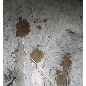 赤峰二氧化碳液態(tài)爆破批發(fā)價(jià)格