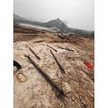 呼倫貝爾一次性爆破管設備免費試用
