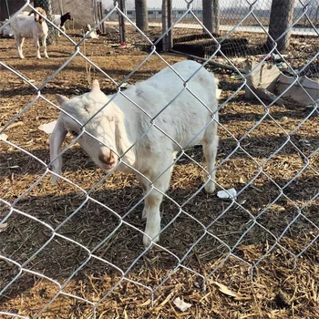 阿壩州牦牛養(yǎng)殖場圈地鐵絲網(wǎng)鍍鋅勾花護欄網(wǎng)牧區(qū)打圍鋼絲圍網(wǎng)