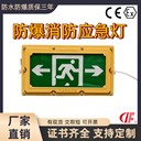 防爆應(yīng)急燈工業(yè)IP66工業(yè)疏散應(yīng)急燈