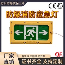 防爆應(yīng)急燈工業(yè)IP66工業(yè)疏散應(yīng)急燈圖片