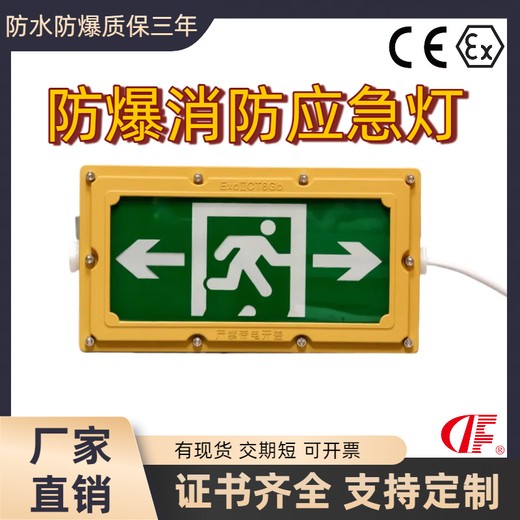 防爆應(yīng)急燈工業(yè)IP66工業(yè)疏散應(yīng)急燈