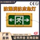 防爆應(yīng)急燈黃殼
