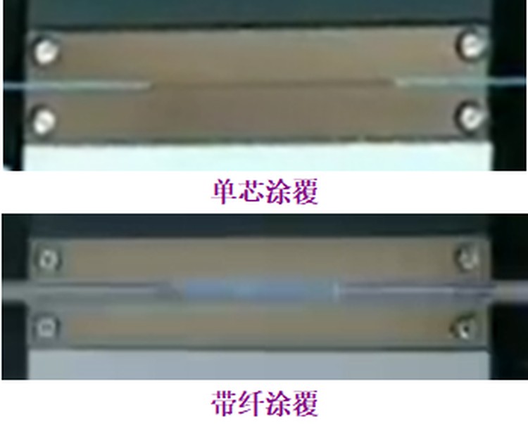 1747246921045517000-2.png@750w_750h_90Q