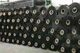 那曲80克PP防草布蓋草布除草布,的原理是啥