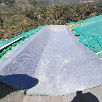水泥毯廠家發(fā)貨價格_水泥毯山東