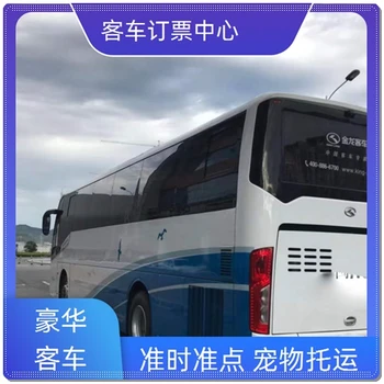 客運(yùn)）平度到滄州營(yíng)運(yùn)大巴專線大巴時(shí)刻表