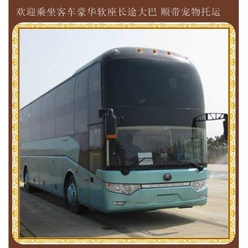 黃島到大慶直達客車歡迎致電