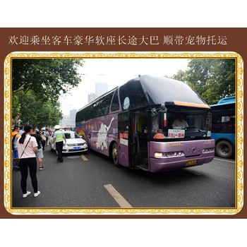 客車:高密到沭陽客車汽車歡迎來電