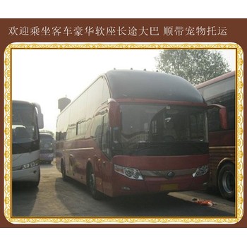 即墨到漯河專線汽車客車在線