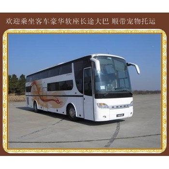 即墨到定陶豪華大巴誠信經(jīng)營