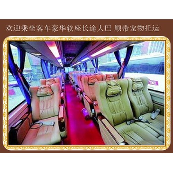 高密到張家口豪華大巴全程高速