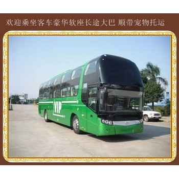 青島到河間汽車票價查詢