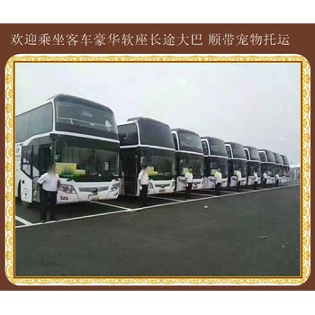 青島到荊門(mén)直達(dá)客車(chē)正規(guī)班車(chē)