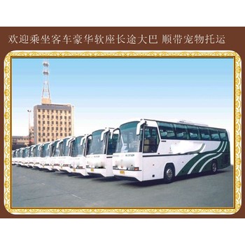 青島到任丘長(zhǎng)途汽車安全放心
