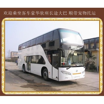 青島到瑞安大巴在那里上車