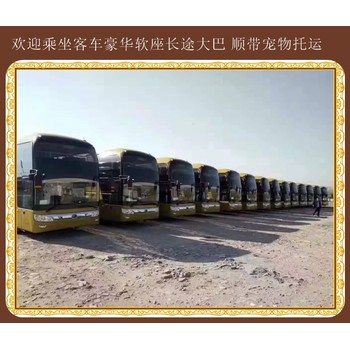 青島到嘉祥客運大巴咨詢中心