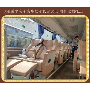 青島到臨海豪華大巴準(zhǔn)時(shí)發(fā)車