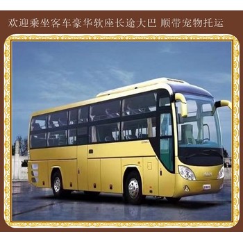 高密到鄲城長途直達大巴歡迎乘坐