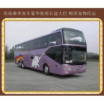 青島到張家口客運汽車運行時間