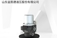 程力久邦高空車原廠配件電液回轉體YHZ-3-9SR10配套益凱德制造