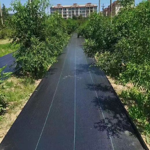 四川漢陽櫻桃基地用防草布，陜西寶雞果園除草布一平價(jià)格低，