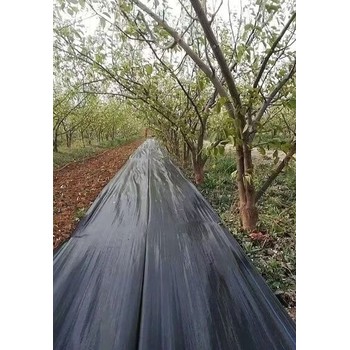 防草布價(jià)位多少錢,pe防草布價(jià)位,農(nóng)用除草地布,蓋草布2025新價(jià)