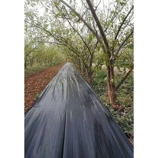 防草布價(jià)位多少錢,pe防草布價(jià)位,農(nóng)用除草地布,蓋草布2025新價(jià)
