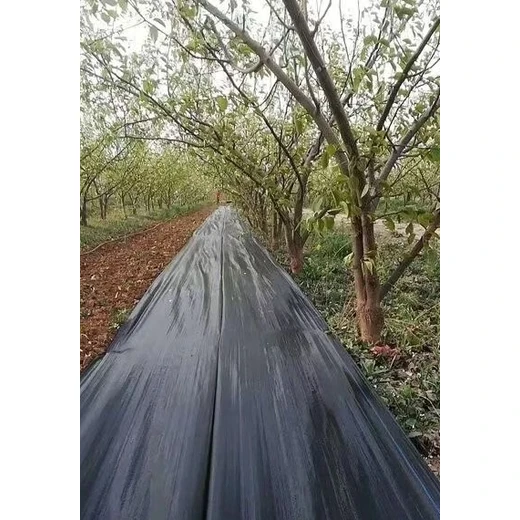 防草布價位多少錢,pe防草布價位,農(nóng)用除草地布,蓋草布2025新價