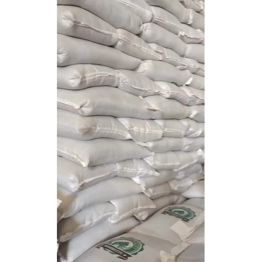 做水培大麥種子綠之洲花卉供應(yīng)產(chǎn)量高