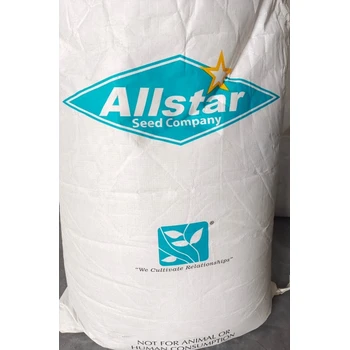 冷季節(jié)草坪草籽高羊茅護坡草便宜耐瘠薄土質