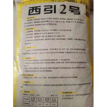 秋種大田審定種子大麥全國售賣我處發(fā)貨