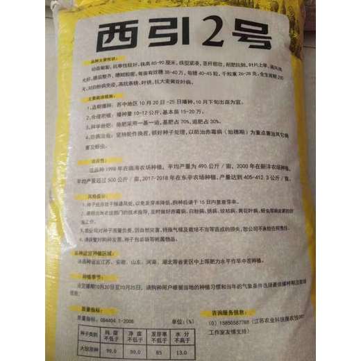 秋種大田審定種子大麥全國(guó)售賣我處發(fā)貨
