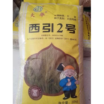 大麥種子純凈度98綠之洲花卉發(fā)貨